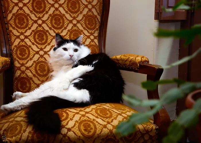 Heliot, Cosy Places By Charme & Caractere Hotel